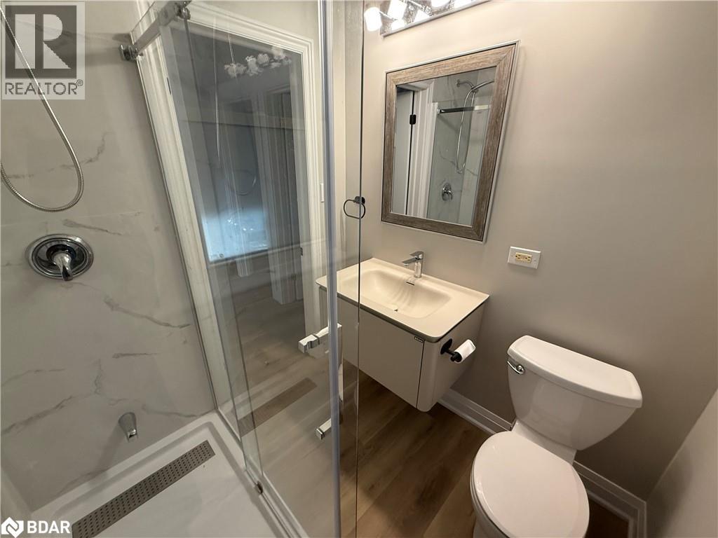 203 Fairleigh Avenue S, Hamilton, Ontario  L8M 2K6 - Photo 19 - 40790807