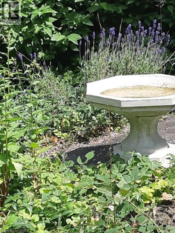 25 Fairmount Avenue, Hamilton, Ontario  L8P 3Z4 - Photo 37 - 40795558