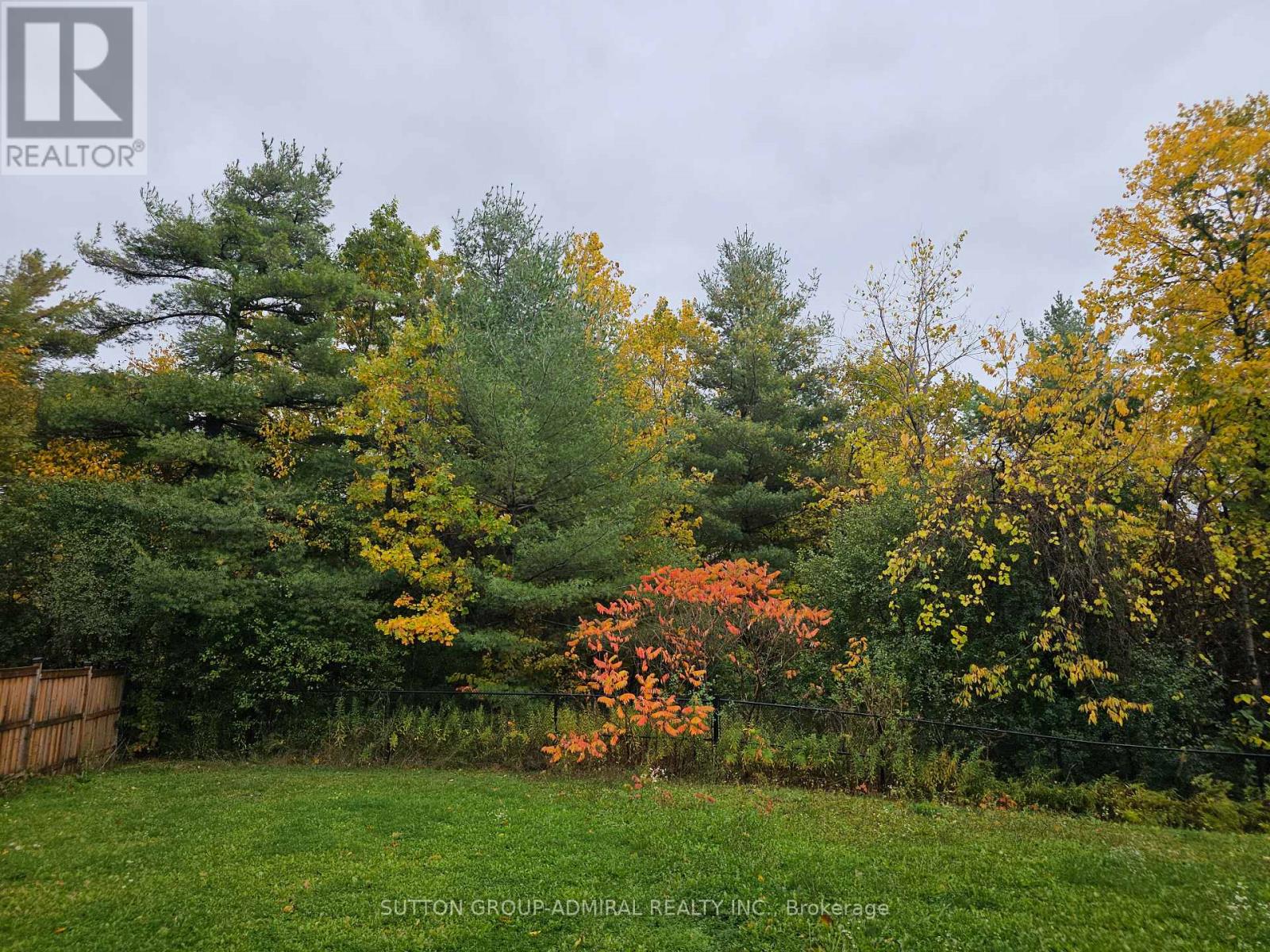 63 Collin Court, Richmond Hill, Ontario  L4E 0X7 - Photo 35 - N12657192