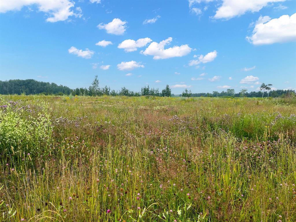 161 Spence Street, La Broquerie, Manitoba  R0A 0W1 - Photo 1 - 202600154