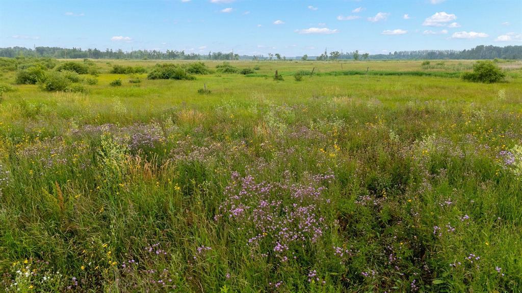 38 Cyrus Lane, La Broquerie, Manitoba  R0A 0W1 - Photo 6 - 202600156