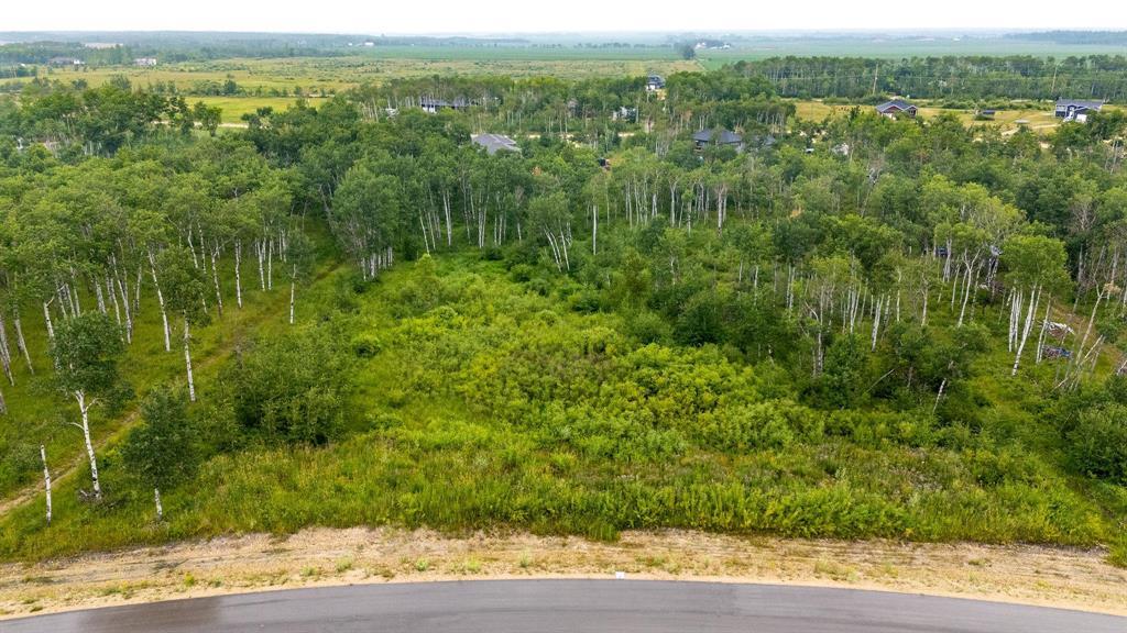 29 Cyrus Lane, La Broquerie, Manitoba  R0A 0W1 - Photo 1 - 202600158