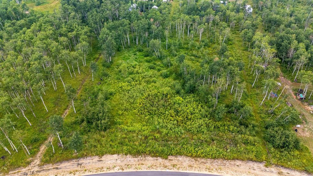 29 Cyrus Lane, La Broquerie, Manitoba  R0A 0W1 - Photo 2 - 202600158