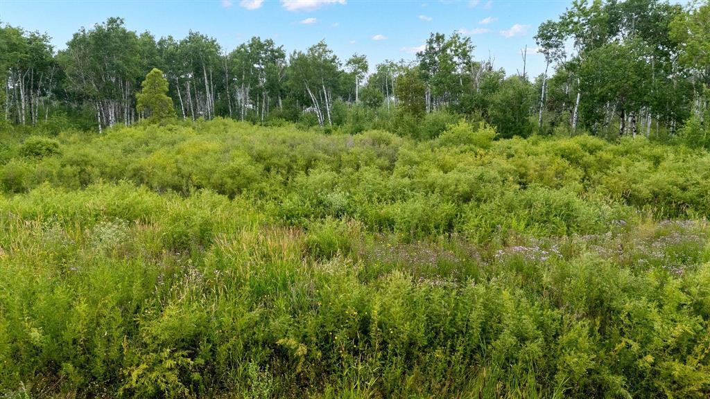 29 Cyrus Lane, La Broquerie, Manitoba  R0A 0W1 - Photo 4 - 202600158