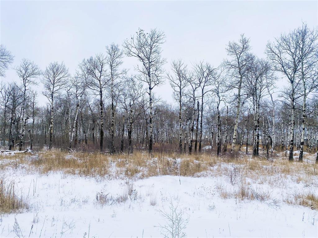 22 Cyrus Lane, La Broquerie, Manitoba