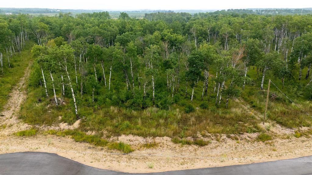 22 Cyrus Lane, La Broquerie, Manitoba  R0A 0W1 - Photo 2 - 202600159