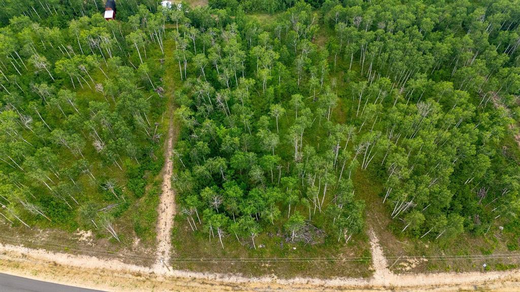 93 Spence Street, La Broquerie, Manitoba  R0A 0W1 - Photo 2 - 202600160