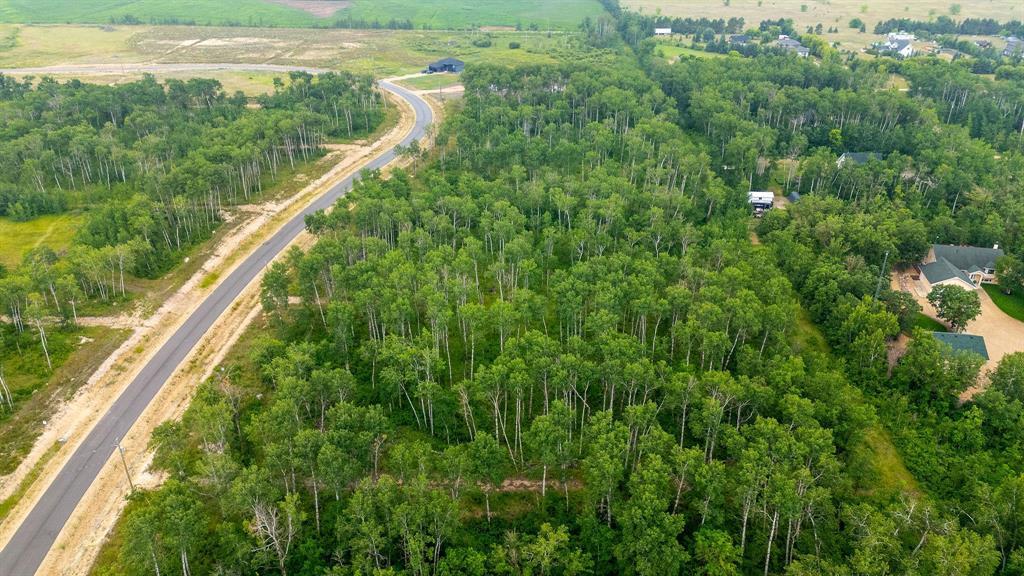 93 Spence Street, La Broquerie, Manitoba  R0A 0W1 - Photo 3 - 202600160