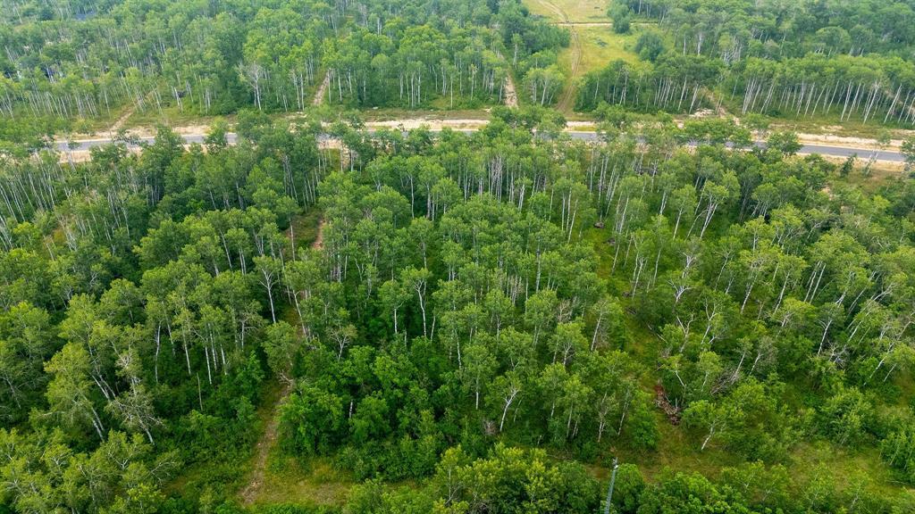 93 Spence Street, La Broquerie, Manitoba  R0A 0W1 - Photo 4 - 202600160