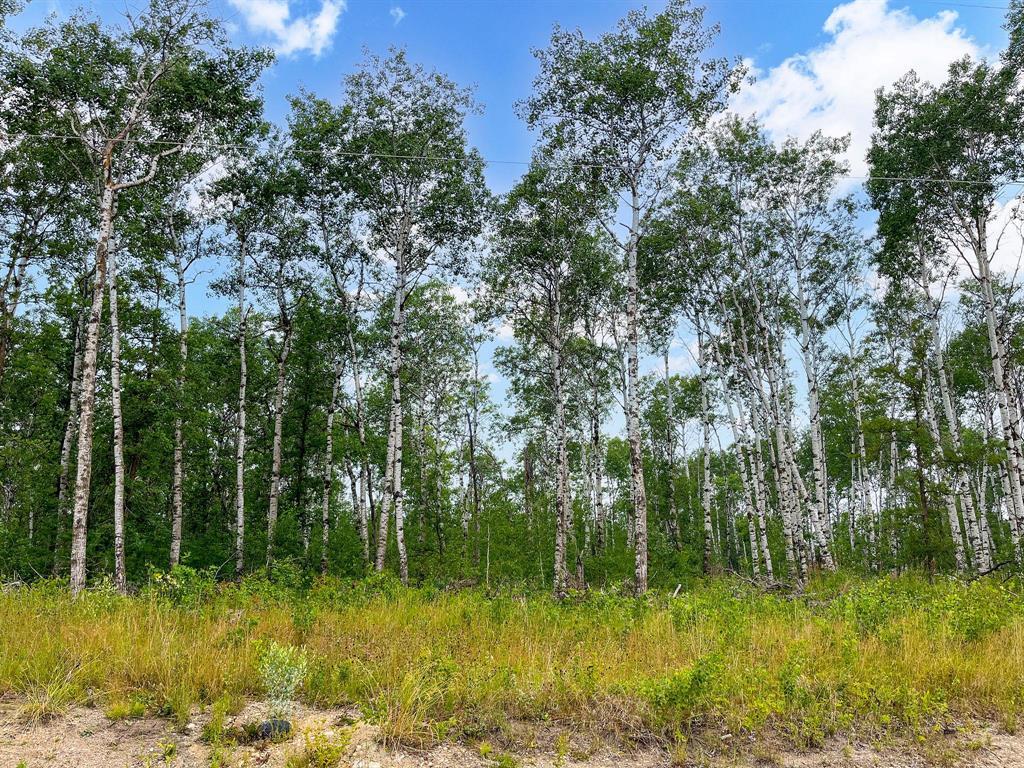 93 Spence Street, La Broquerie, Manitoba  R0A 0W1 - Photo 7 - 202600160