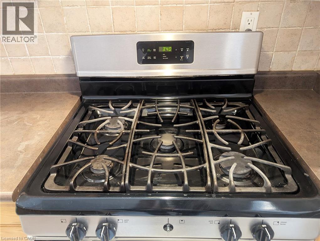 19 Stevenson Street, Ancaster, Ontario  L9G 5A2 - Photo 8 - 40795552