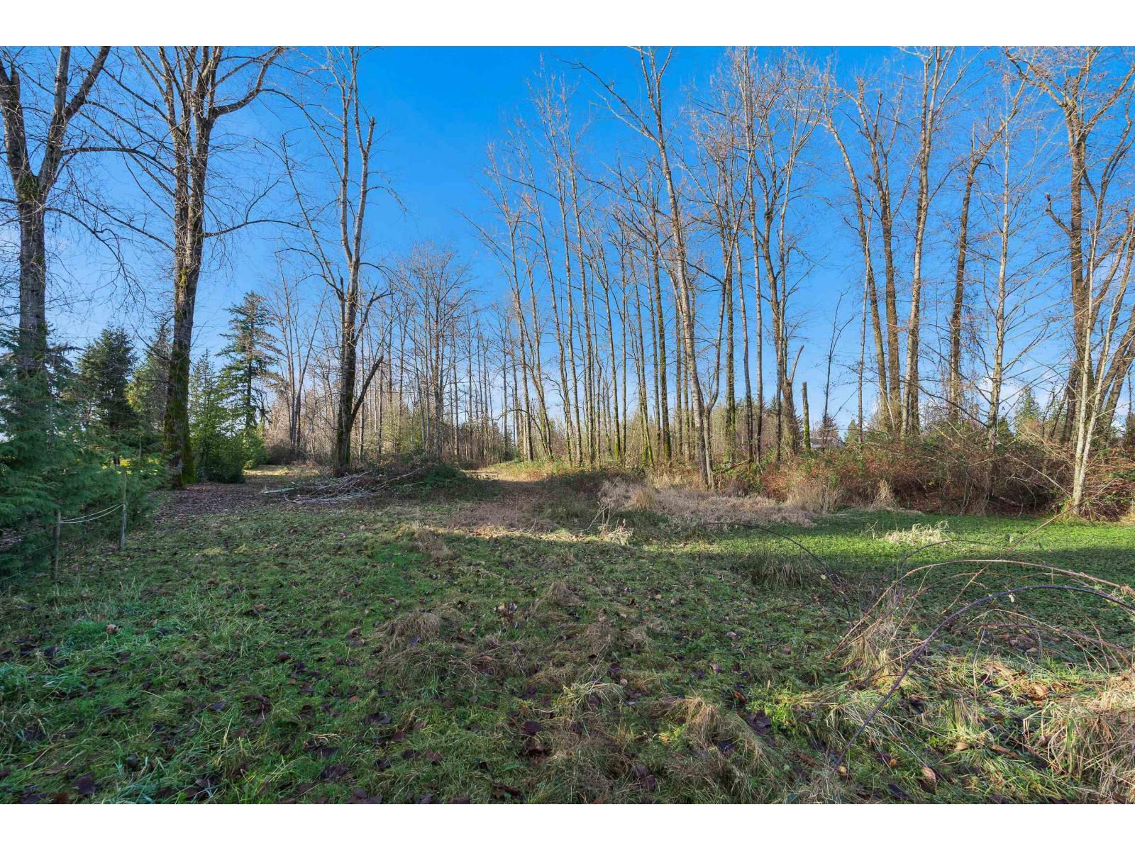 2271 240 Street, Langley, British Columbia  V2Z 3A4 - Photo 22 - R3074943