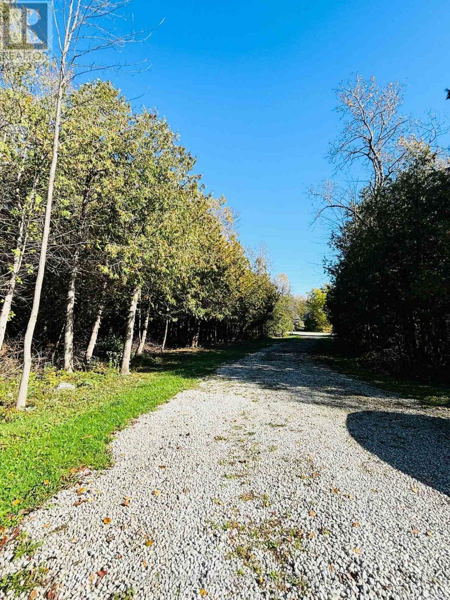 2506 Concession 10 N Nottawasaga Road, Collingwood, Ontario  L9Y 3Y9 - Photo 19 - S12508676