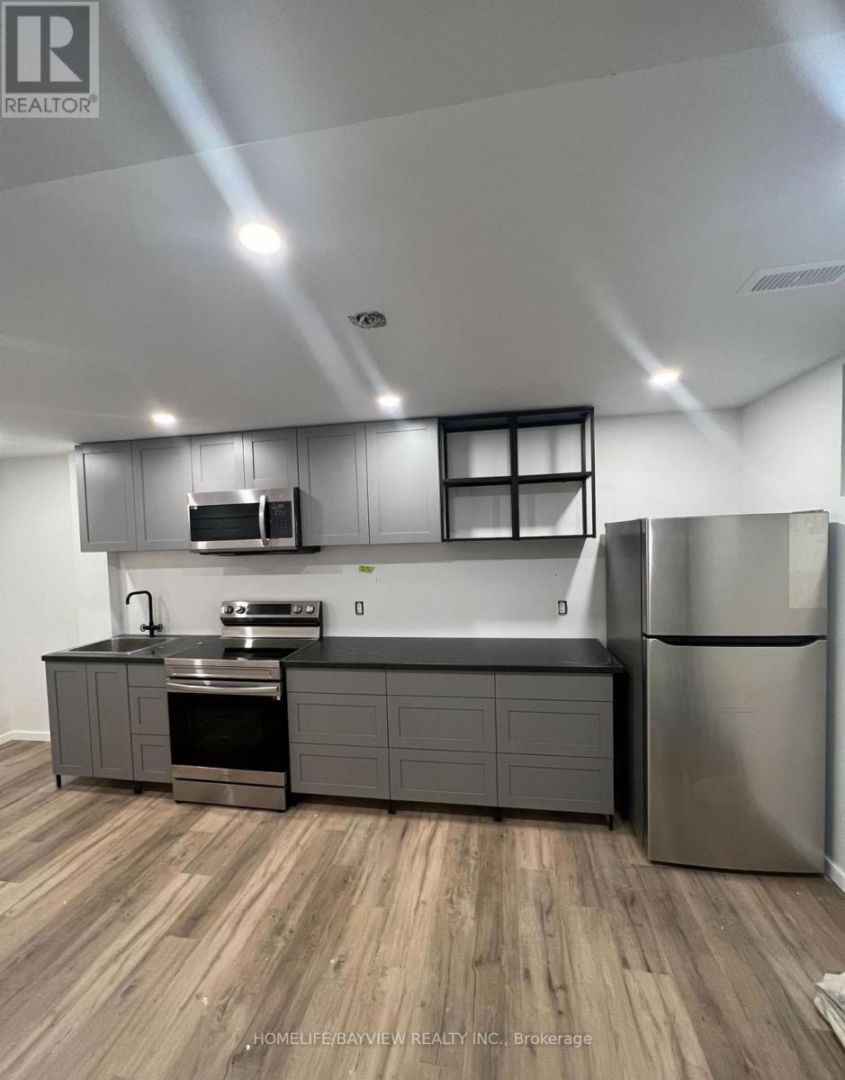 Basemen - 202 Glenada Court, Richmond Hill, Ontario  L4C 5M7 - Photo 3 - N12657470