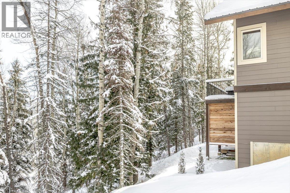 12 Alpine Trail Place, Fernie, British Columbia  V0B 1M5 - Photo 50 - 10371692