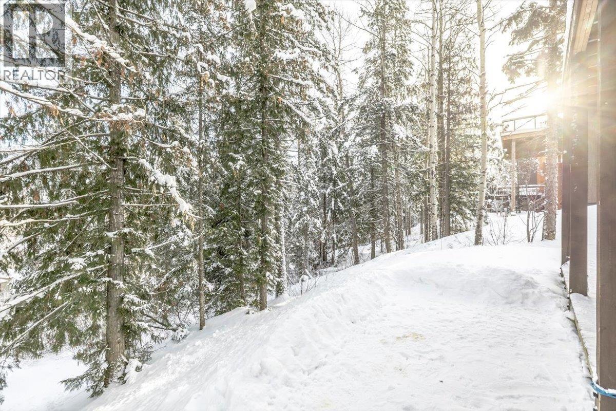12 Alpine Trail Place, Fernie, British Columbia  V0B 1M5 - Photo 51 - 10371692