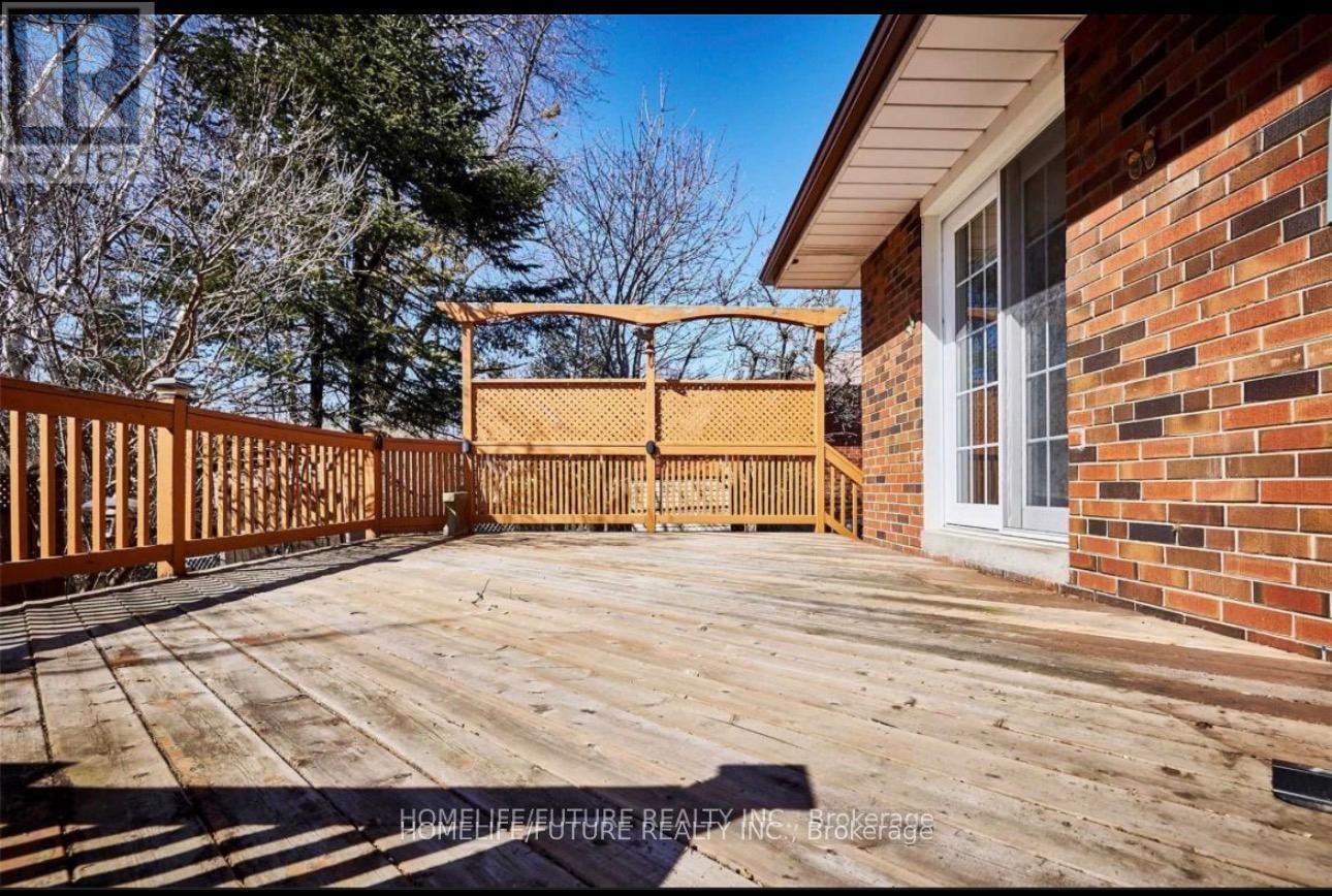 Main - 264 Livingston Road, Toronto, Ontario  M1E 1M1 - Photo 10 - E12657682