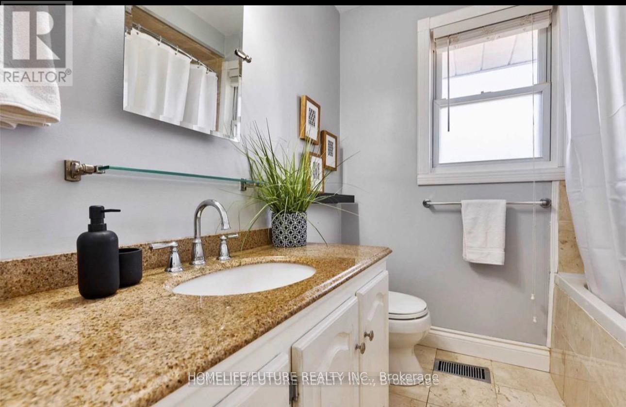 Main - 264 Livingston Road, Toronto, Ontario  M1E 1M1 - Photo 9 - E12657682