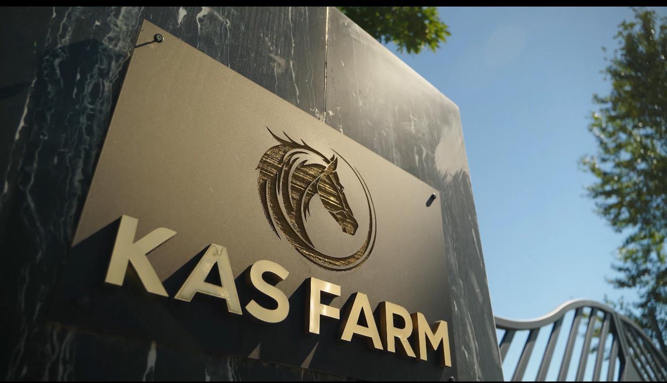 5986 232 STREET, Langley, British Columbia