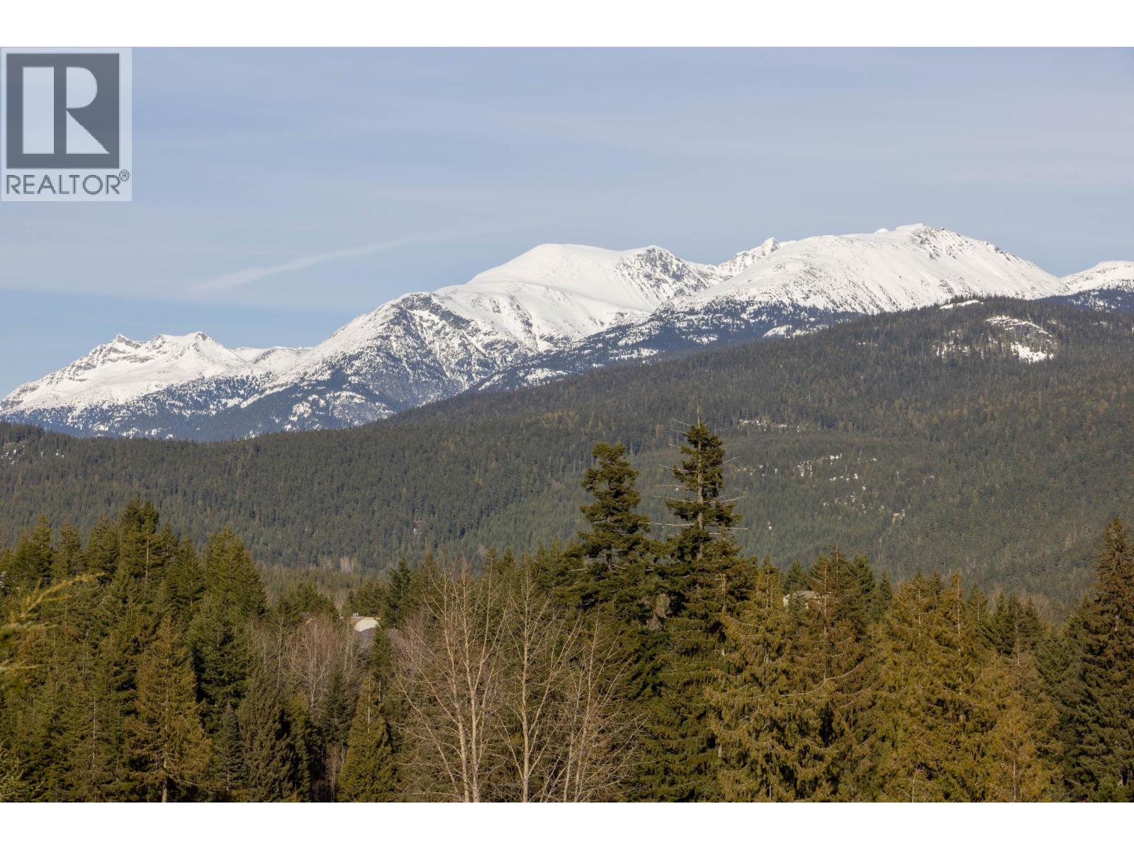 406 3317 Ptarmigan Place, Whistler, British Columbia  V8E 0V7 - Photo 29 - R3075542