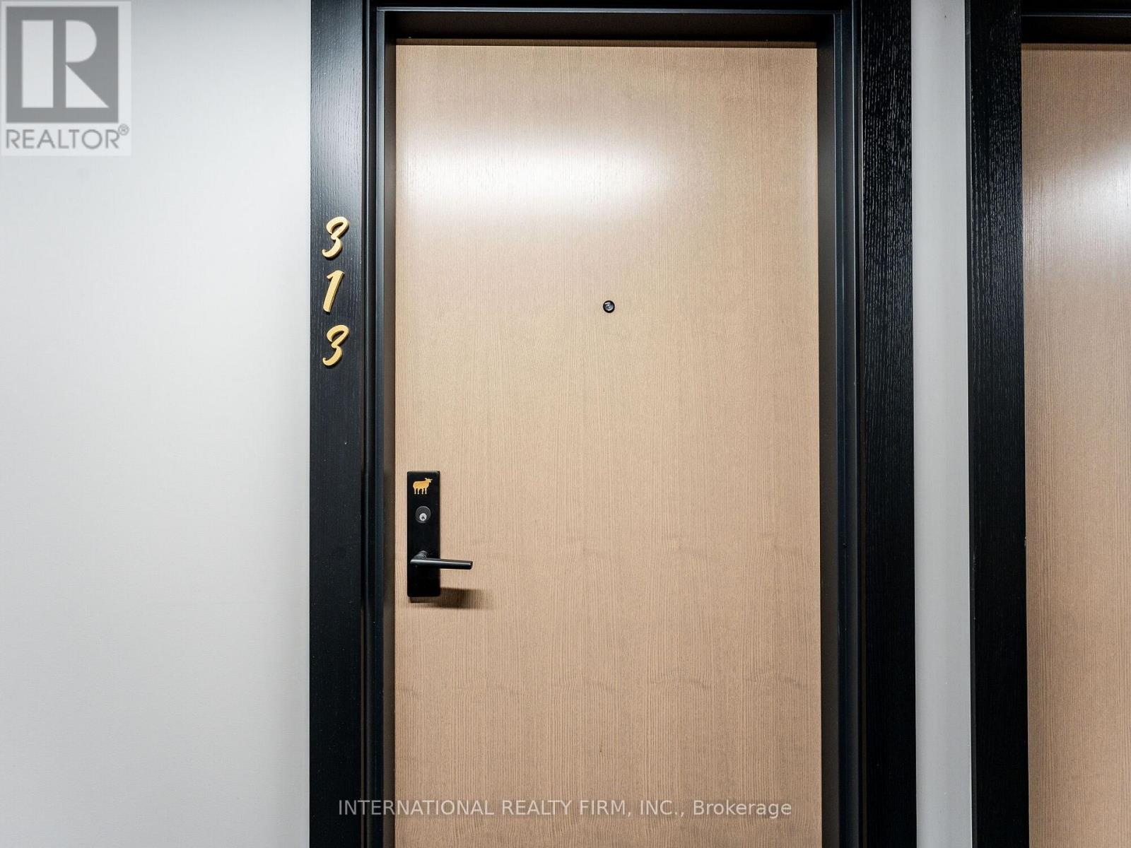 313 - 195 Mccaul Street, Toronto, Ontario  M5T 1W6 - Photo 6 - C12657960