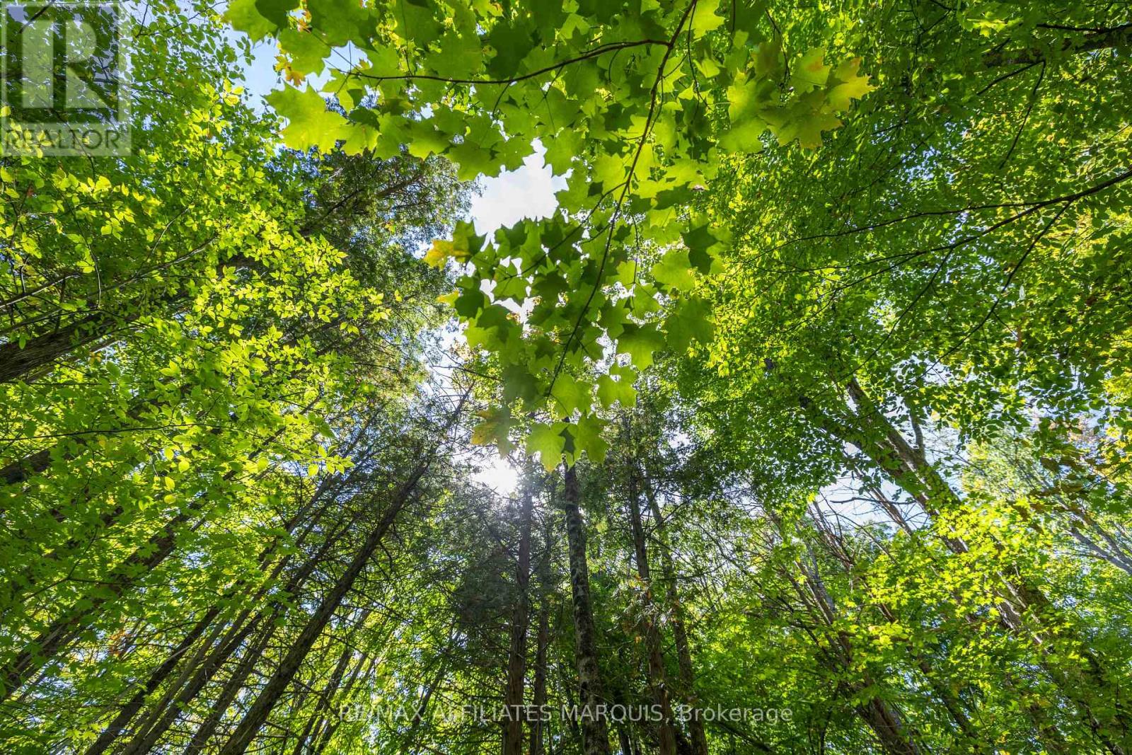 19112 Hwy 7 Highway, Tay Valley, Ontario  K7H 3C8 - Photo 6 - X12657998