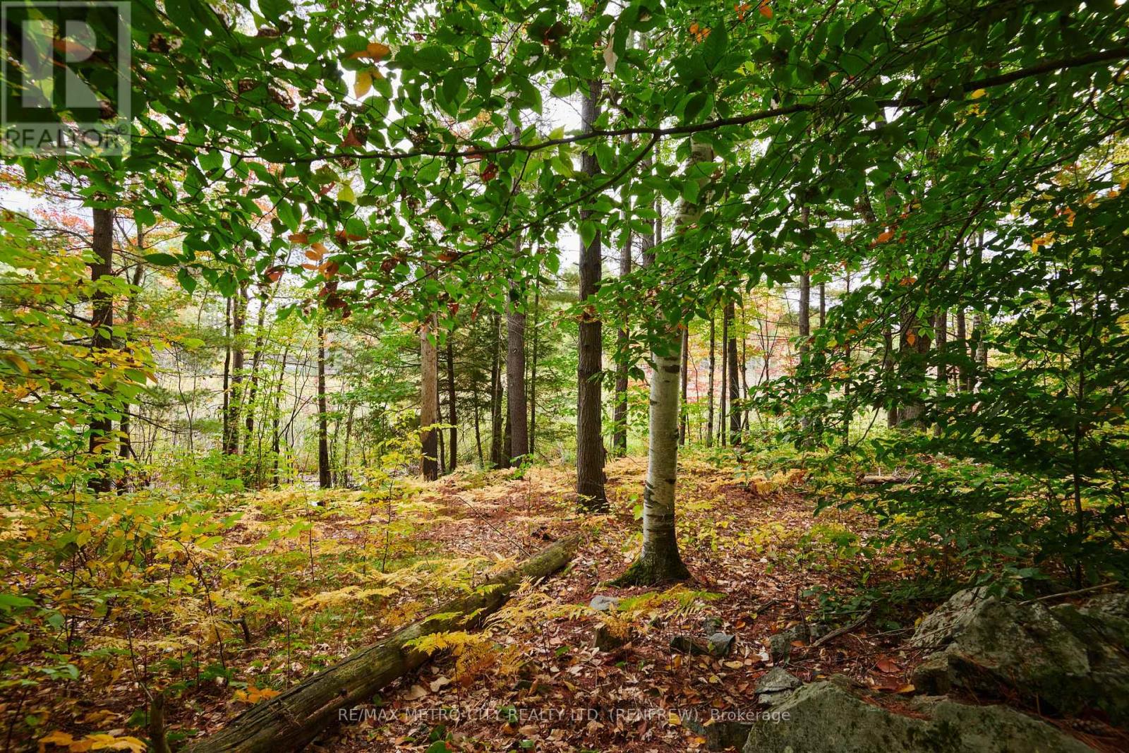 109 Scharf Lane, Greater Madawaska, Ontario  K0J 1H0 - Photo 38 - X12437537