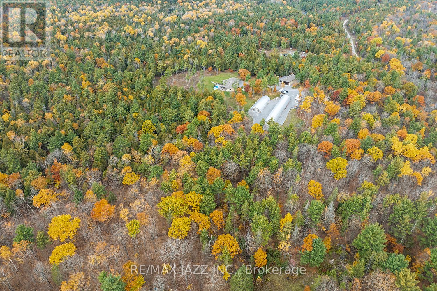 19 Ledge Road, Trent Lakes, Ontario  K0M 1A0 - Photo 31 - X12498744