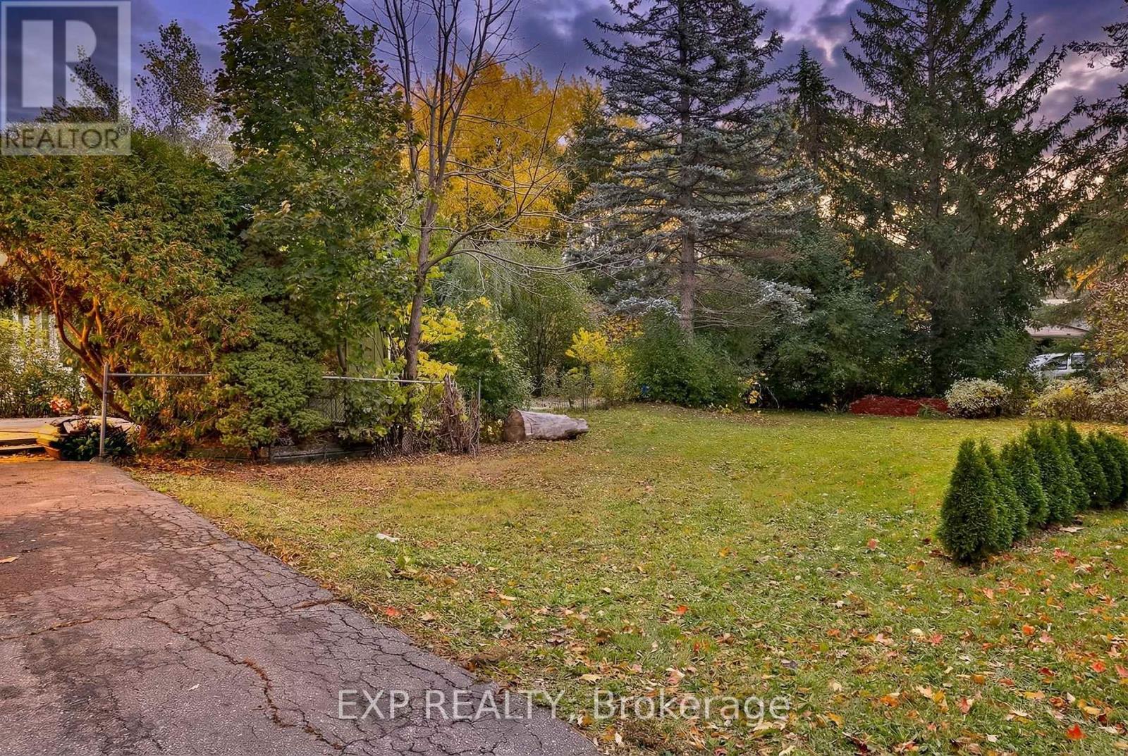 165 Carlson Drive, Newmarket, Ontario  L3Y 3H2 - Photo 3 - N12646030