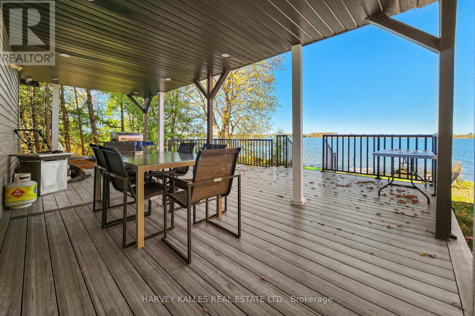 1 Mcgill Drive, Kawartha Lakes, Ontario  K9V 4R4 - Photo 32 - X12477938