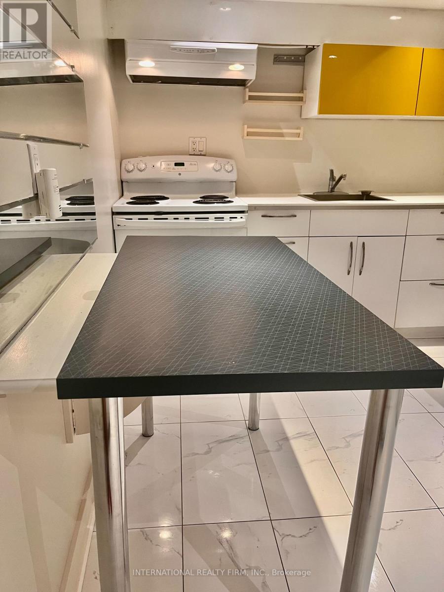 Lower Floor - 220 Rose Park Dr Drive, Toronto, Ontario  M4T 1R5 - Photo 19 - C12658482