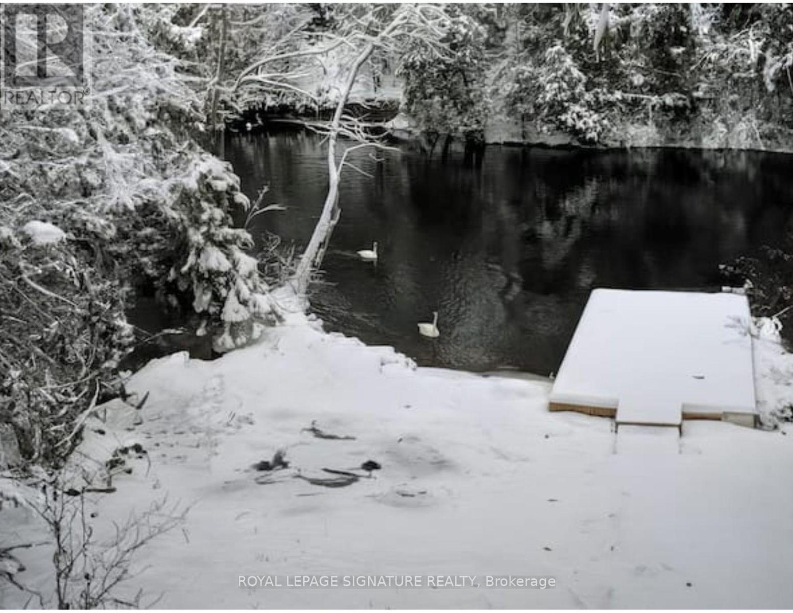 3309 Riverdale Drive, Severn, Ontario  L0K 2B0 - Photo 1 - S12658520