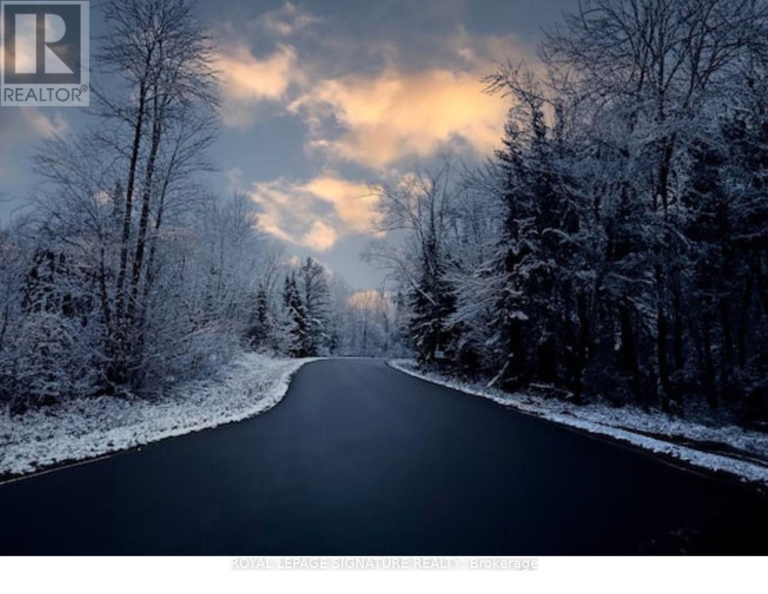 3309 Riverdale Drive, Severn, Ontario  L0K 2B0 - Photo 4 - S12658520