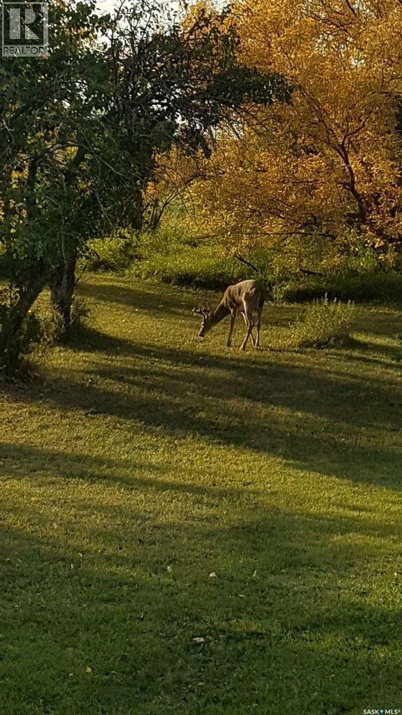 1000 Railway Avenue W, Foam Lake, Saskatchewan  S0A 1A0 - Photo 5 - SK026077