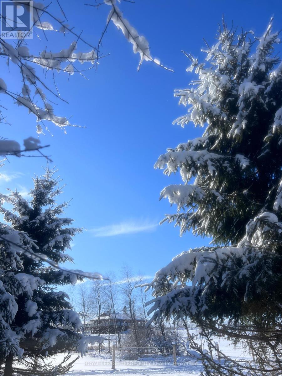 189 East Hungerford Road, Tweed, Ontario  K0K 3J0 - Photo 37 - X12122531