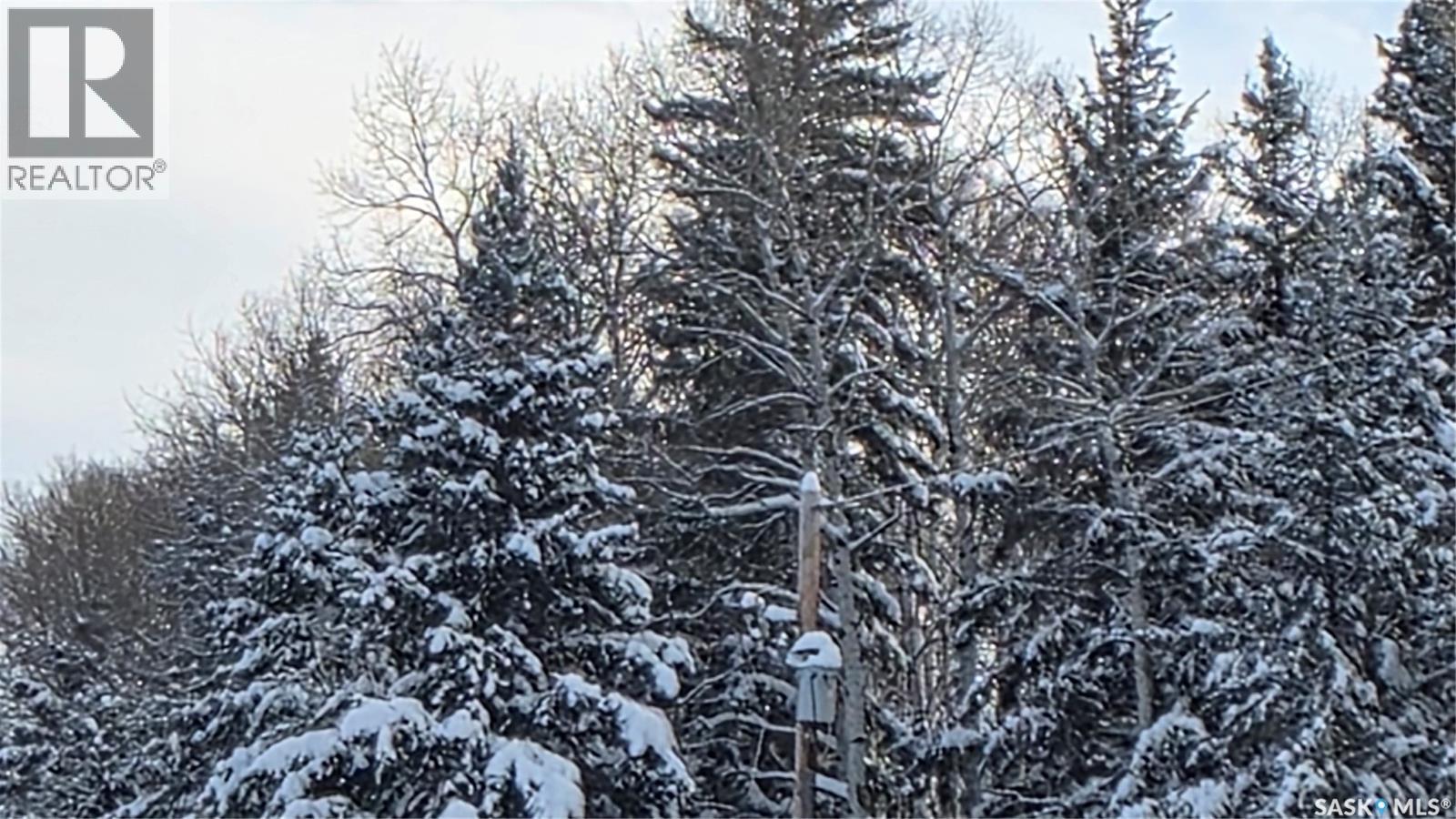 Sw-26-53-26-2 Forrest Gate Road, Paddockwood Rm No. 520, Saskatchewan  S0J 0G1 - Photo 4 - SK026059