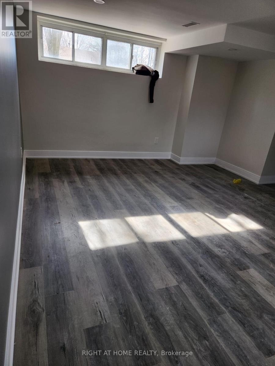 Basement Unit - 4 Stanley Court, Brampton, Ontario  L6Y 2A9 - Photo 16 - W12658760