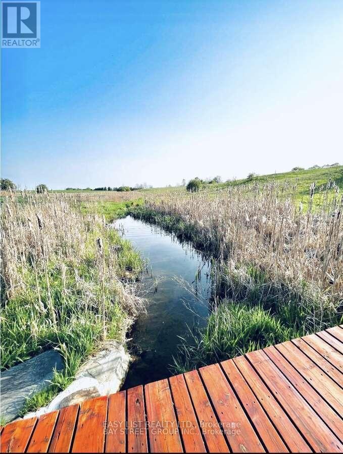 2878 10th Side Road, Bradford West Gwillimbury, Ontario  L3Z 2L3 - Photo 14 - N12658848