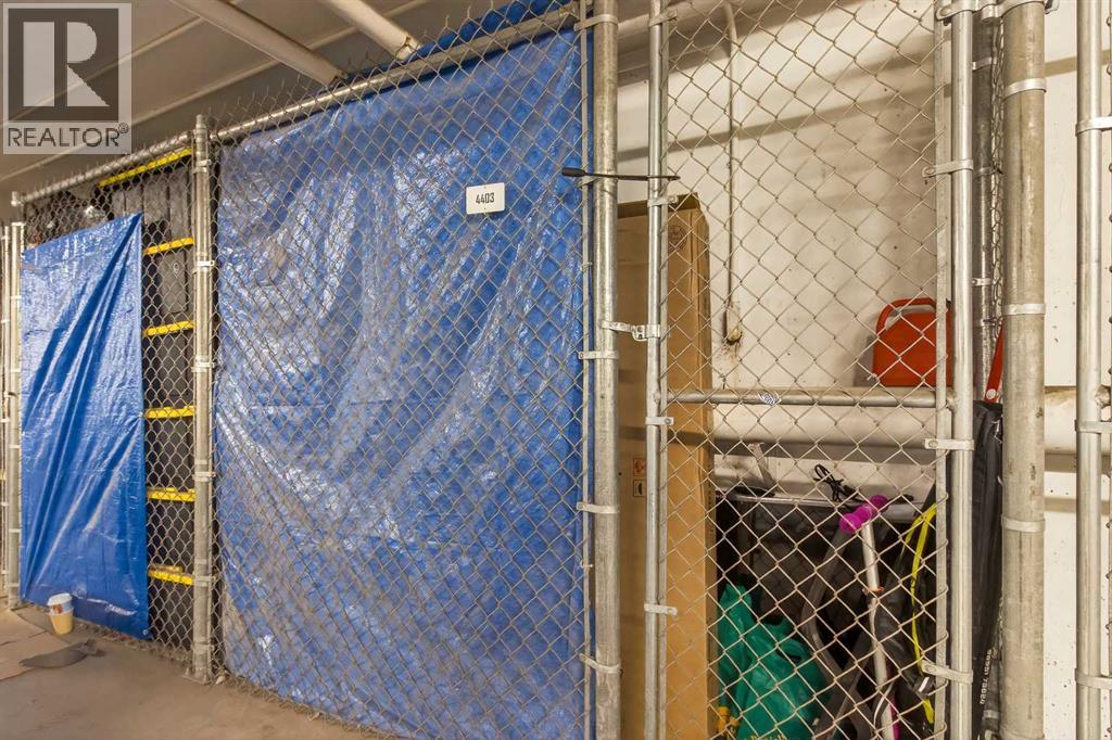 4403, 302 Skyview Ranch Drive Ne, Calgary, Alberta  T3N 0P5 - Photo 25 - A2274752