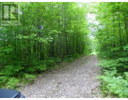 50 ACRES IN MUSKOKA NORTH OF BALA PCL 31045, Muskoka Lakes, Ontario