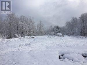 N/a N/a, Muskoka Lakes, Ontario  P0C 1A0 - Photo 24 - X12659086