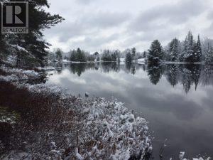 N/a N/a, Muskoka Lakes, Ontario  P0C 1A0 - Photo 26 - X12659086