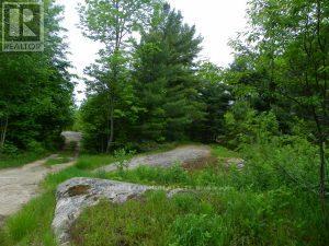 N/a N/a, Muskoka Lakes, Ontario  P0C 1A0 - Photo 7 - X12659086