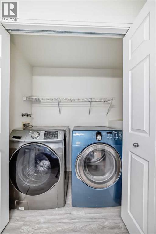 226 Saddlebrook Circle Ne, Calgary, Alberta  T3J 4T7 - Photo 25 - A2272547