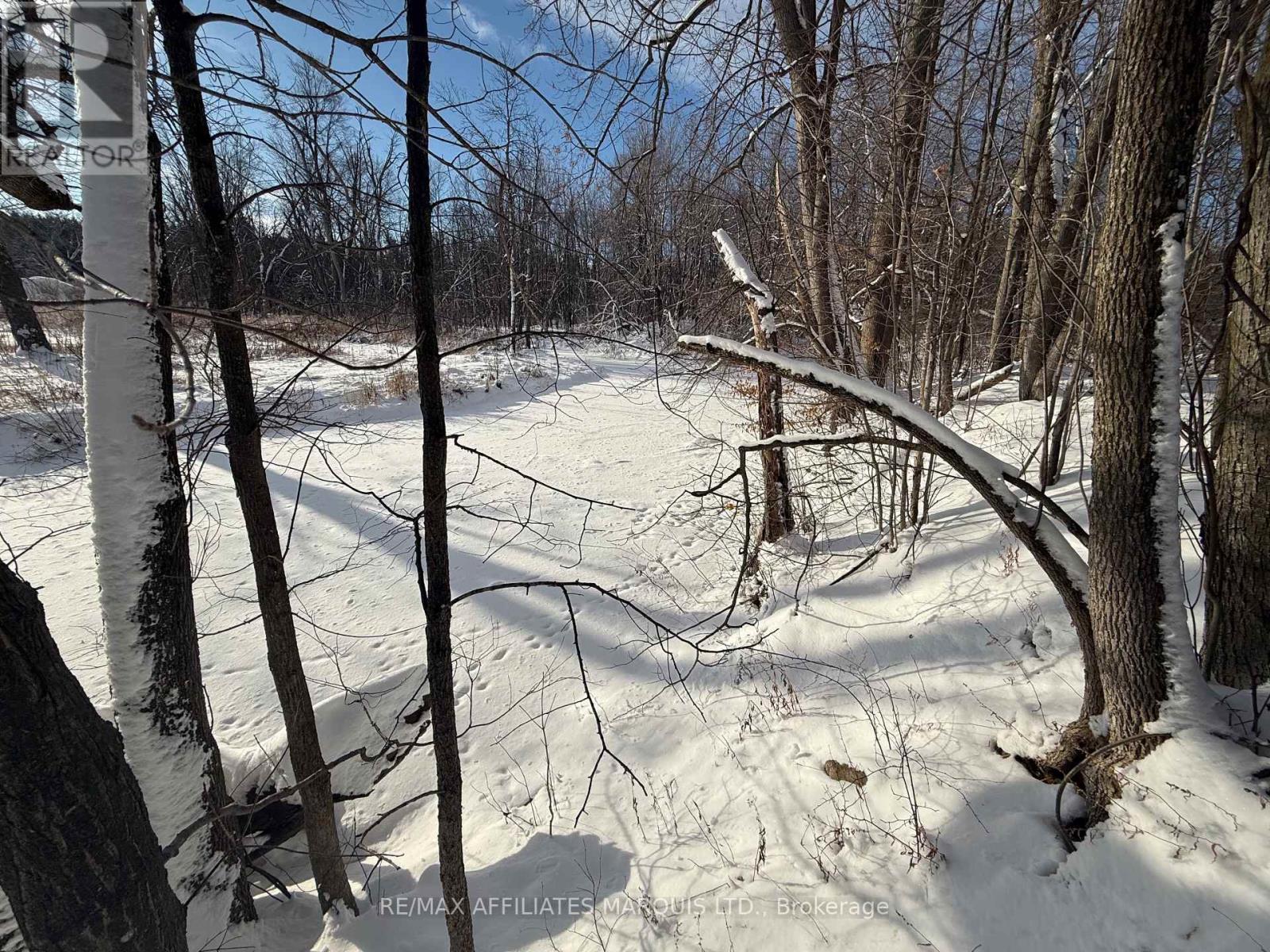 16980 Valade Road, South Stormont, Ontario  K0C 2A0 - Photo 22 - X12659202