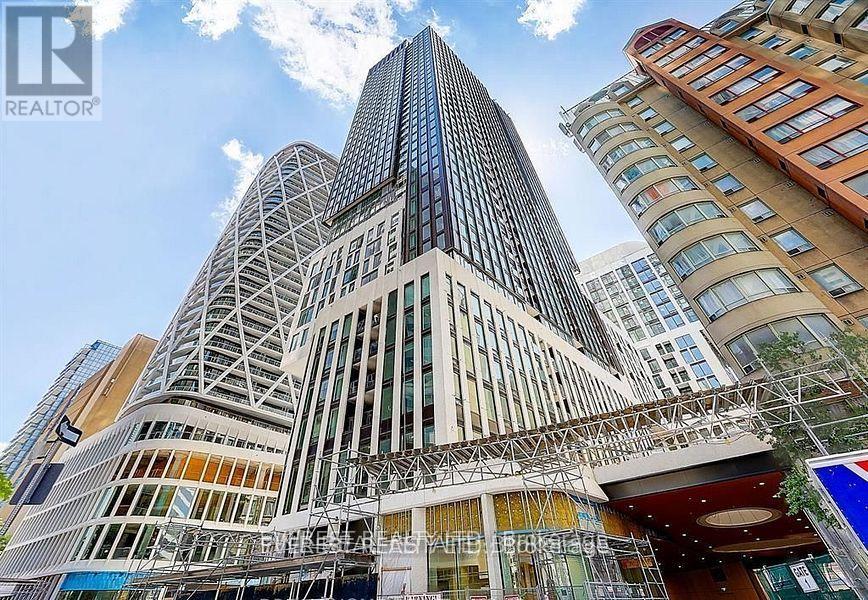 302 - 238 Simcoe Street, Toronto, Ontario  M5T 0E2 - Photo 2 - C12659250