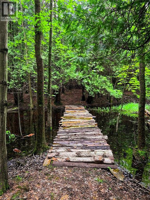 302783 Douglas Street, Durham, Ontario  N0G 1R0 - Photo 50 - 40791665