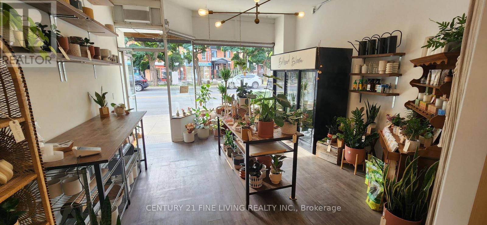 3130 Dundas Street W, Toronto, Ontario M6P 2A1 - Photo 13 - W12659350