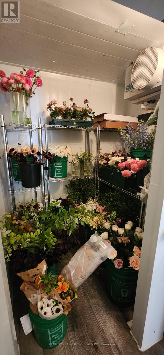 3130 Dundas Street W, Toronto, Ontario M6P 2A1 - Photo 23 - W12659350