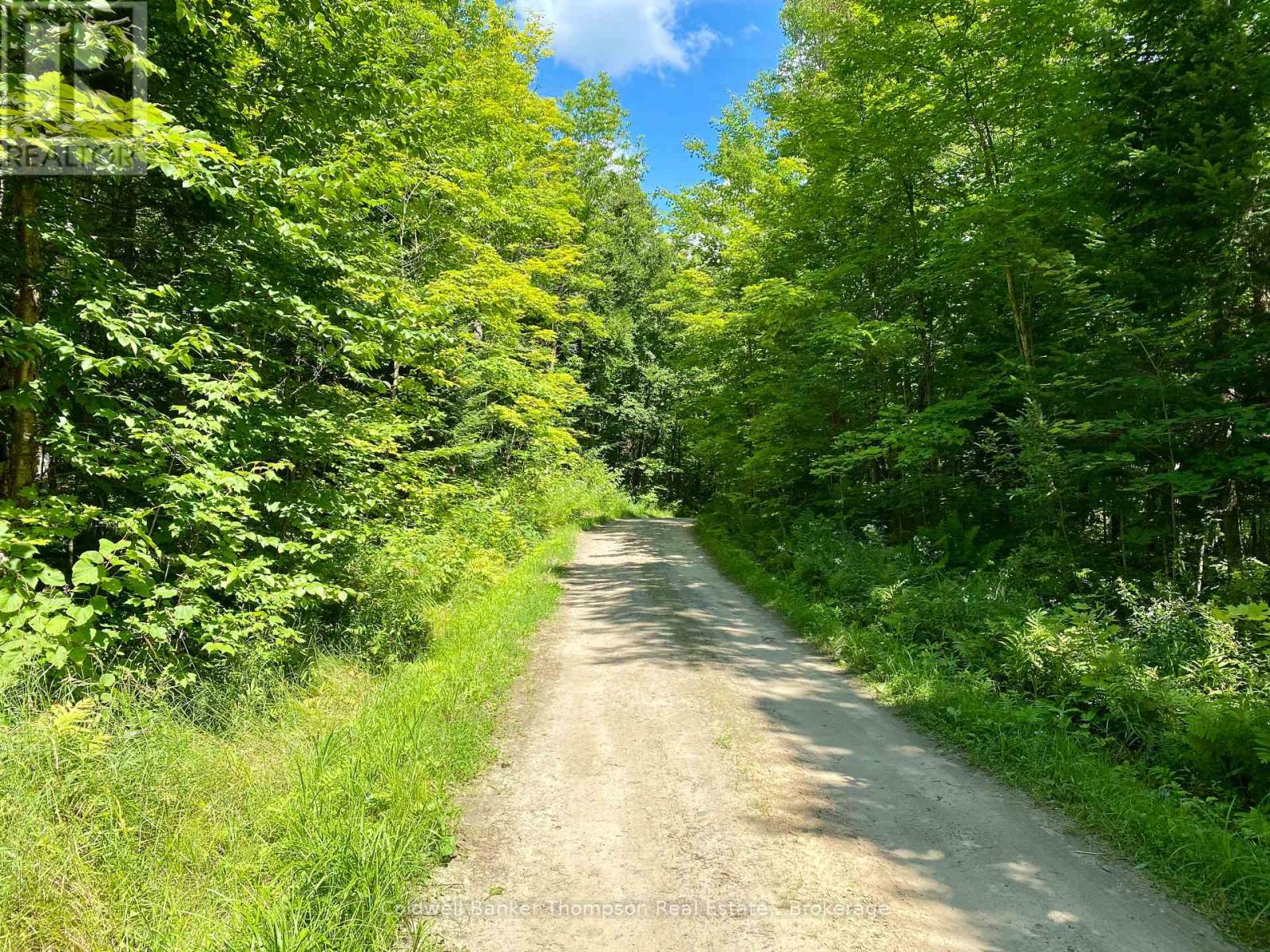 0 Conc. Rd 10 And 11 Concession N, Parry Sound Remote Area, Ontario  P0H 1A0 - Photo 2 - X12261970